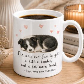 Border collie